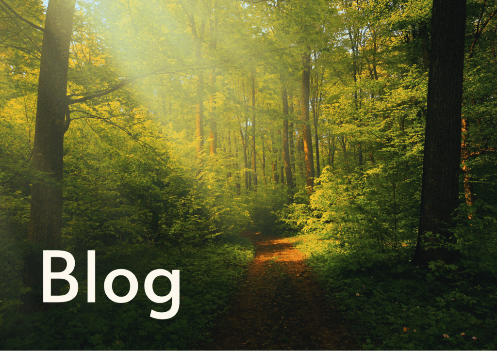 blog page