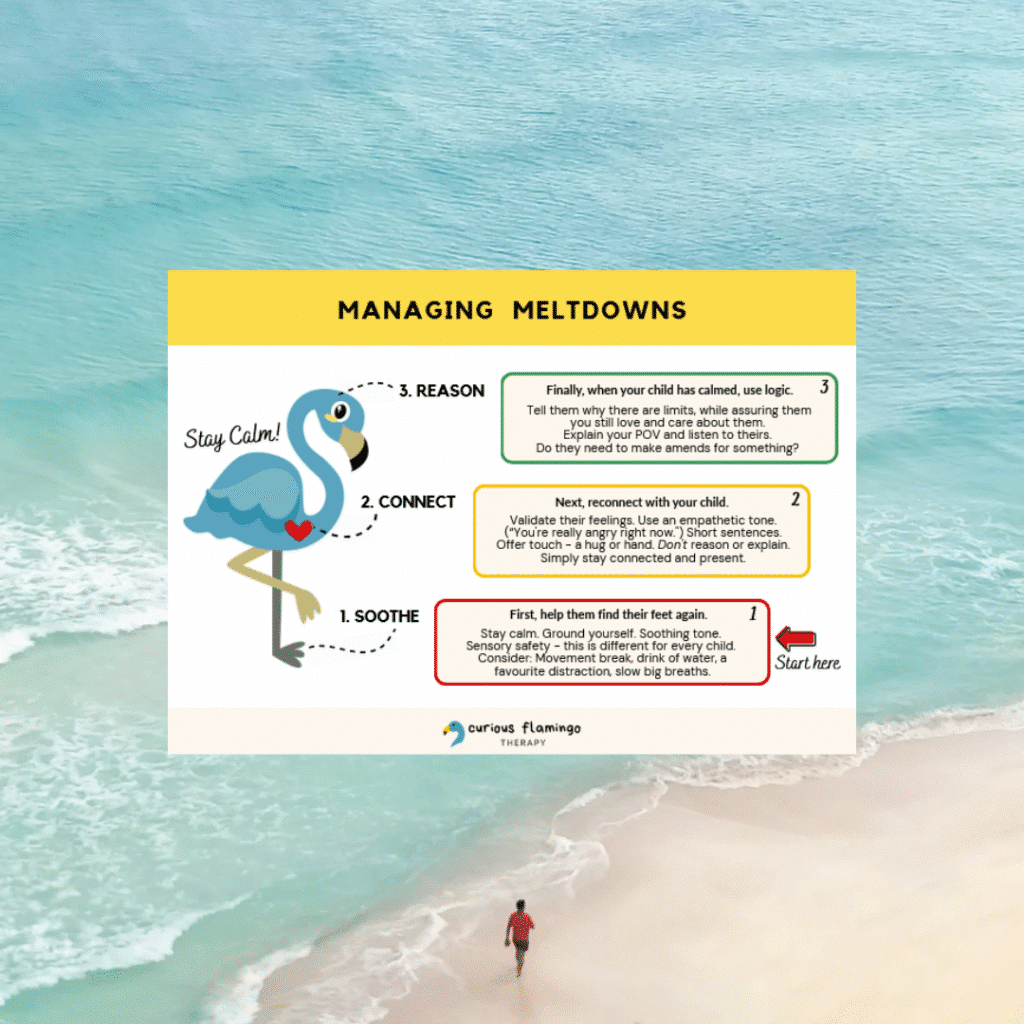 Download the free managing meltdowns cheatsheet.
