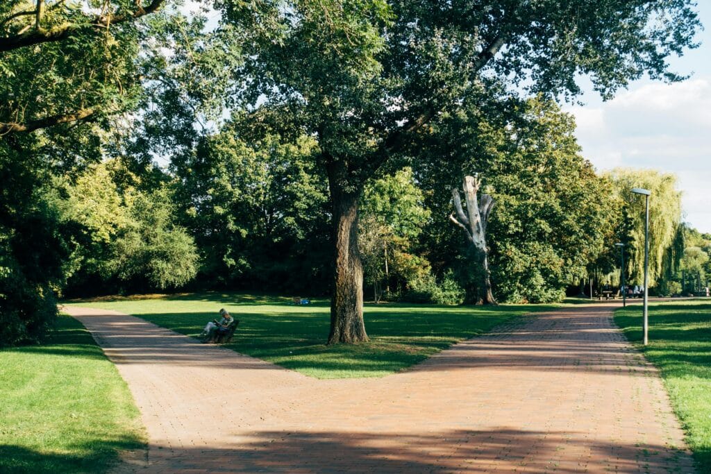 A peaceful scene of a split brick pathway surrounded by lush green trees in a sunny park.